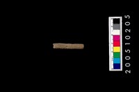 藏品(石針)的圖片