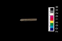 藏品(石針)的圖片