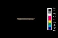 藏品(石針)的圖片