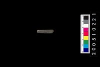 藏品(石針)的圖片