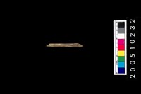 藏品(石針)的圖片