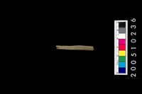 藏品(石針)的圖片