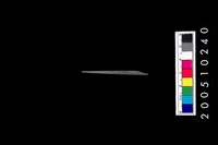 藏品(石針)的圖片