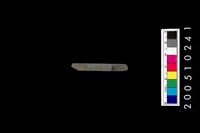 藏品(石針)的圖片