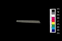 藏品(石針)的圖片