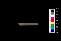 藏品(石針)的圖片