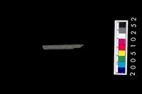 藏品(石針)的圖片