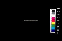 藏品(石針)的圖片