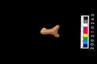 藏品(陶偶)的圖片