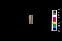 藏品(陶環)的圖片