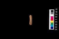 藏品(陶環)的圖片