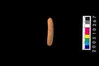 藏品(陶環)的圖片