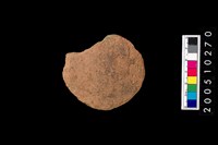 藏品(腹片)的圖片