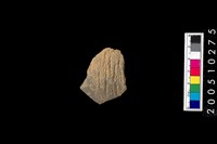 藏品(繩紋缽口緣)的圖片