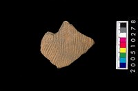 藏品(繩紋腹片)的圖片