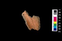 藏品(繩紋罐口緣)的圖片