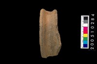 藏品(繩紋罐口緣)的圖片