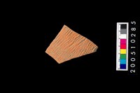 藏品(繩紋腹片)的圖片