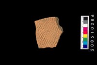 藏品(繩紋腹片)的圖片