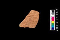 藏品(繩紋腹片)的圖片