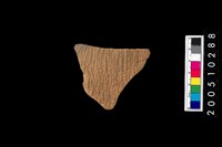 藏品(繩紋腹片)的圖片