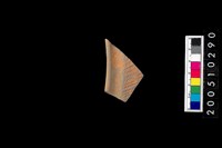 藏品(繩紋缽口緣)的圖片