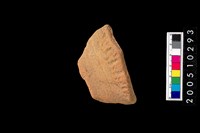 藏品(繩紋罐口緣)的圖片