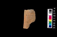 藏品(繩紋缽口緣)的圖片