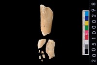 藏品(獸骨)的圖片