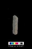 藏品(石杵)的圖片