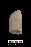 藏品(石杵)的圖片