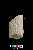 藏品(石杵)的圖片