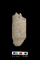 藏品(石杵)的圖片