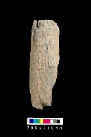 藏品(石杵)的圖片