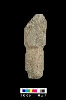 藏品(石杵)的圖片