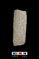藏品(石杵)的圖片