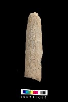 藏品(石杵)的圖片