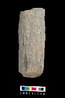 藏品(石杵)的圖片