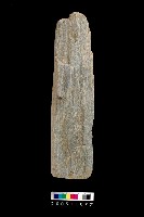 藏品(石杵)的圖片