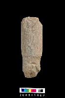 藏品(石杵)的圖片