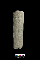 藏品(石杵)的圖片