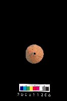 藏品(陶紡輪)的圖片