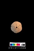 藏品(陶紡輪)的圖片