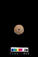 藏品(陶紡輪)的圖片