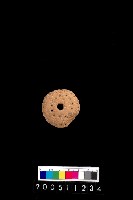 藏品(陶紡輪)的圖片