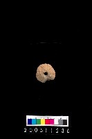 藏品(陶紡輪)的圖片