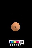 藏品(陶紡輪)的圖片