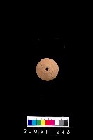 藏品(陶紡輪)的圖片