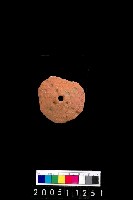 藏品(陶紡輪)的圖片