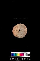 藏品(陶紡輪)的圖片